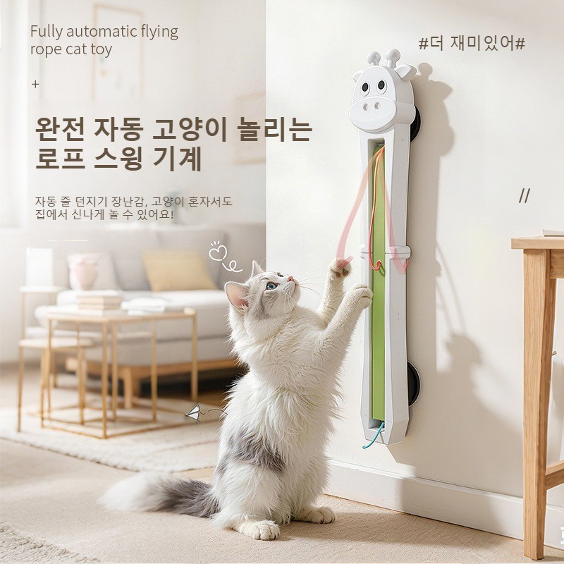 바닥 거치형이냐 문걸이형이냐 — 혼자 노는 고양이 장난감, 갈림길은 ‘넘어짐’이었다